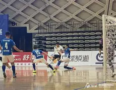 瑞典队豪取七连胜，梦幻征程终结